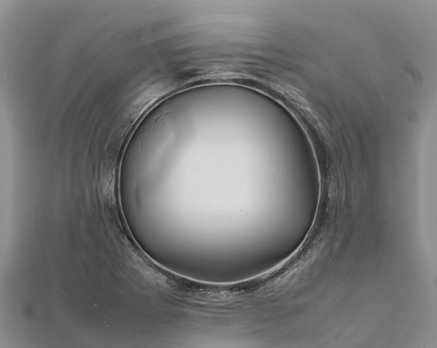 X0000112091273200908181256