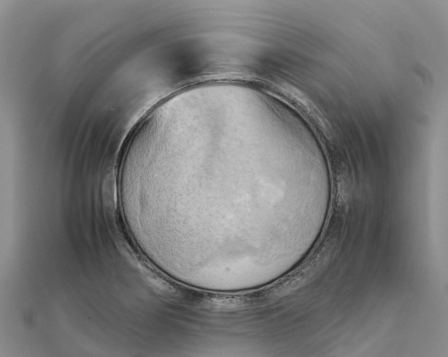 X0000112091274200908181256