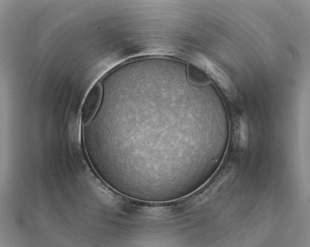 X0000112091276200908181256