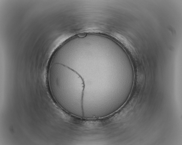 X0000112091277200908181256