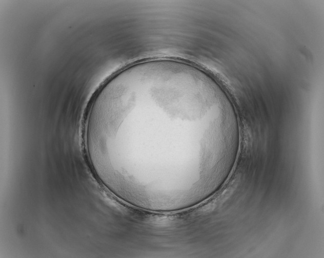 X0000112091278200908181256