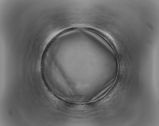 X0000112091279200908181256