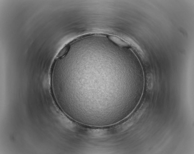 X0000112091280200908181256