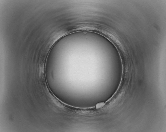 X0000112091281200908181256