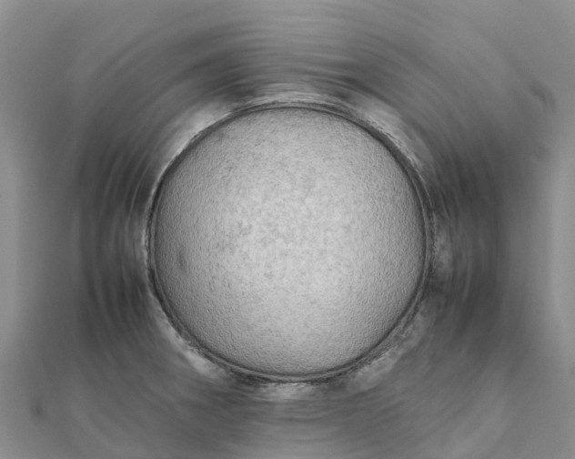 X0000112091282200908181256