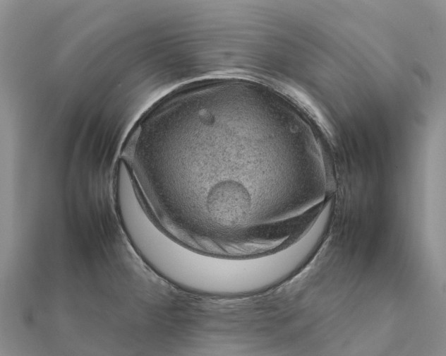 X0000112091284200908181256