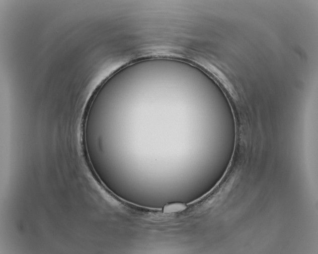 X0000112091285200908181256