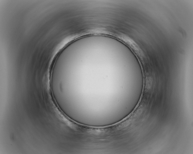 X0000112091286200908181256