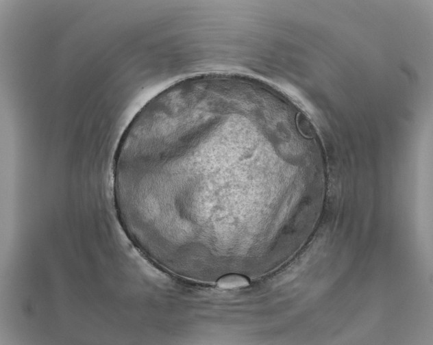 X0000112091287200908181256