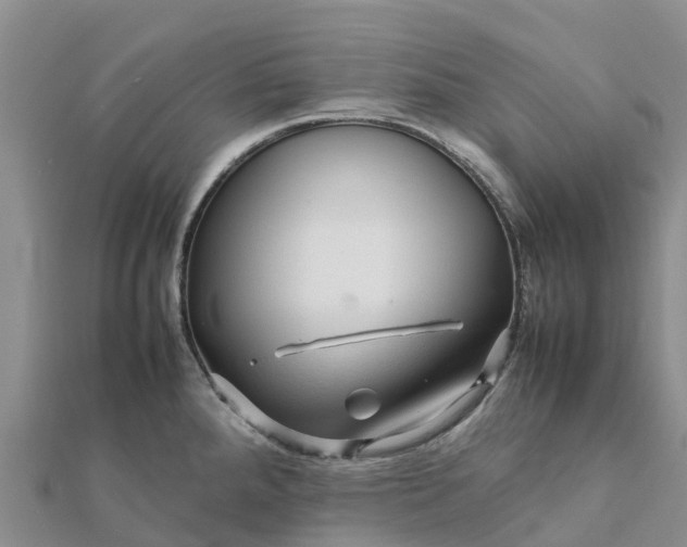 X0000112091288200908181256