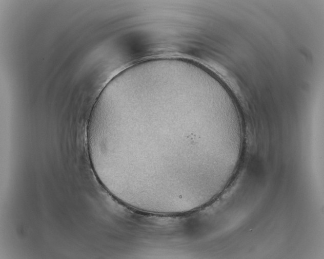 X0000112091289200908181256