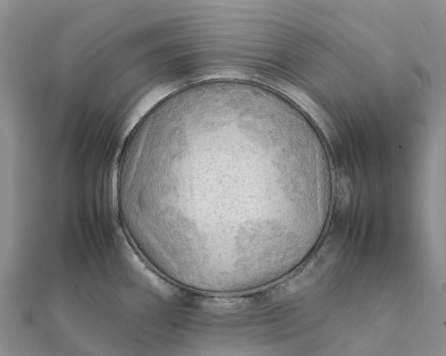 X0000112091290200908181256