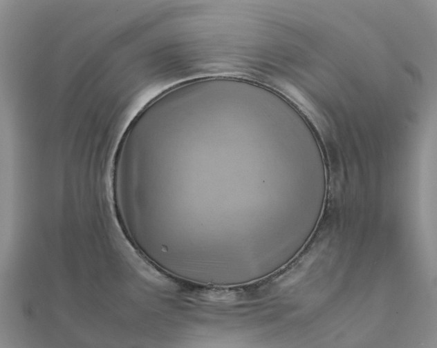 X0000112091291200908181256