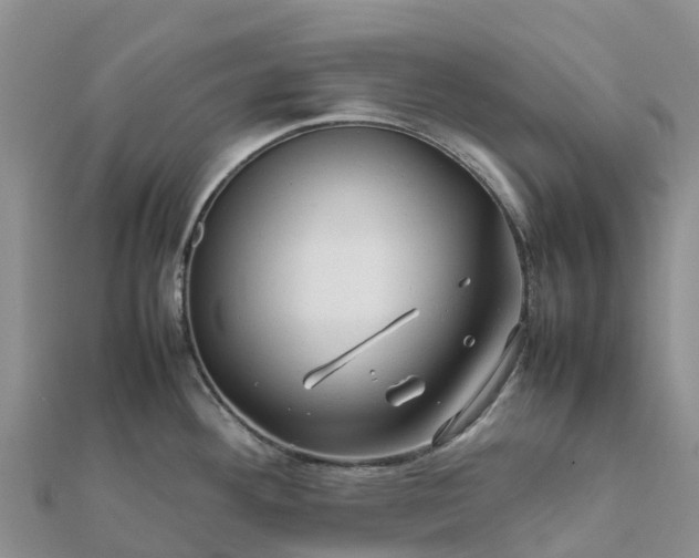 X0000112091292200908181256