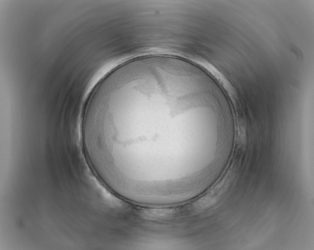 X0000112091294200908181256