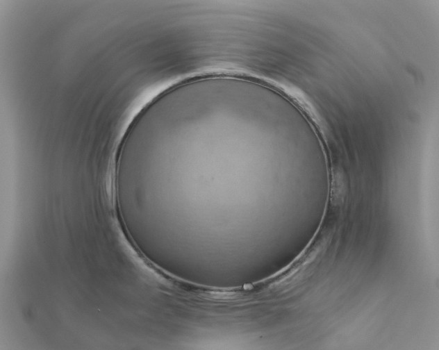 X0000112091295200908181256