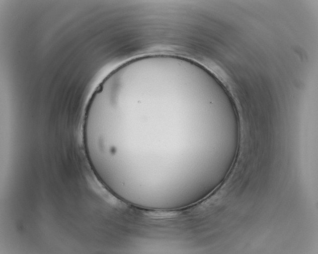 X0000112091296200908181256