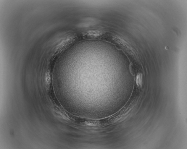 X0000112091299200908181255