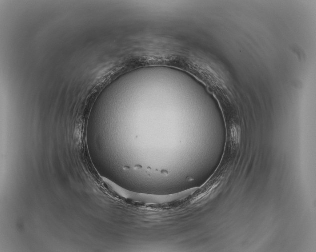 X0000112091300200908181255