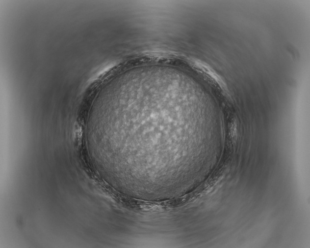 X0000112091302200908181255