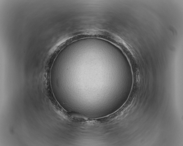 X0000112091304200908181255