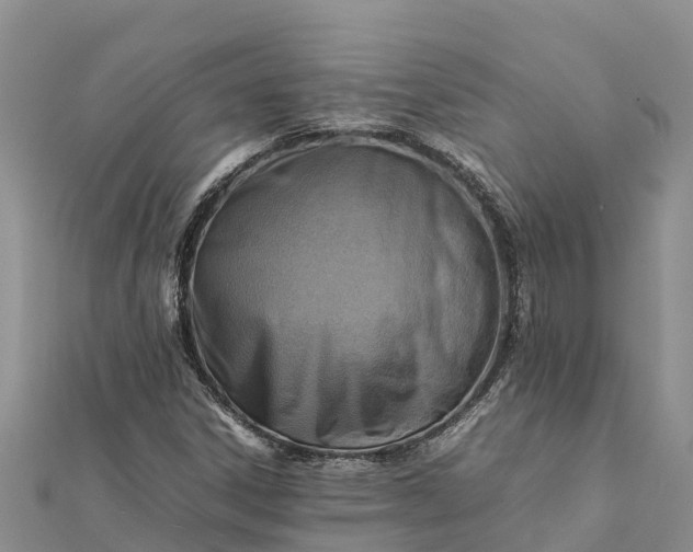 X0000112091306200908181255