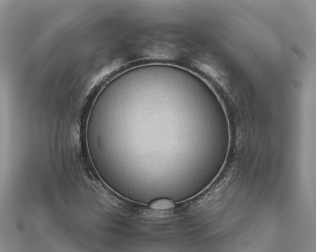 X0000112091307200908181255