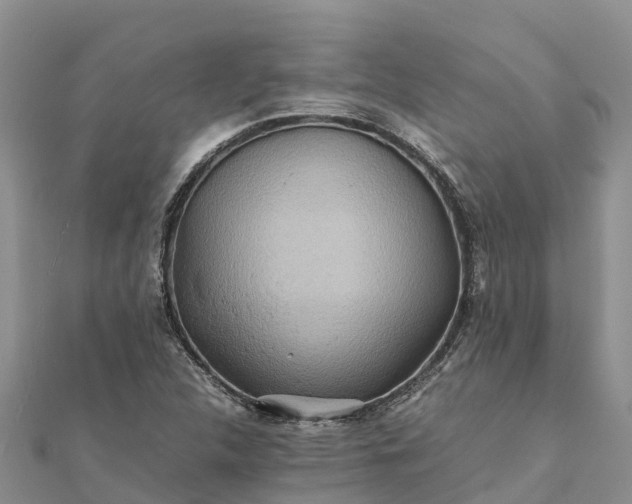 X0000112091312200908181255