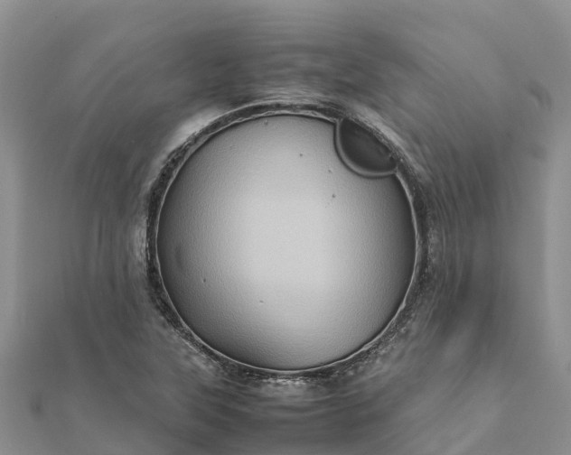 X0000112091315200908181255