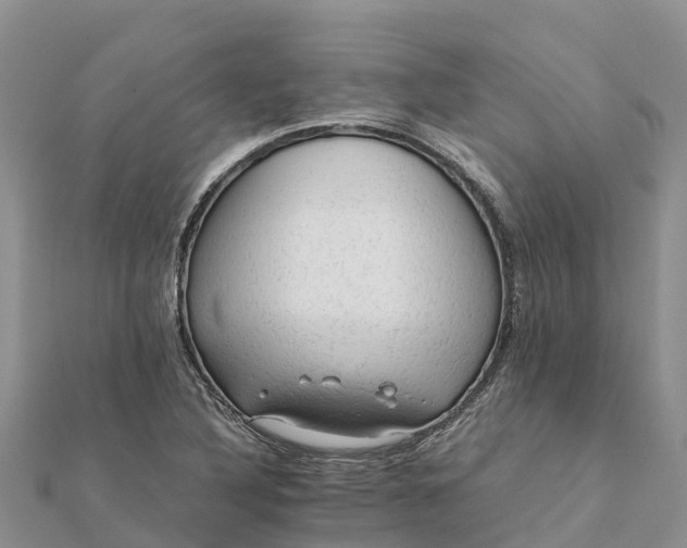 X0000112091316200908181255