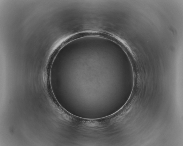 X0000112091319200908181255