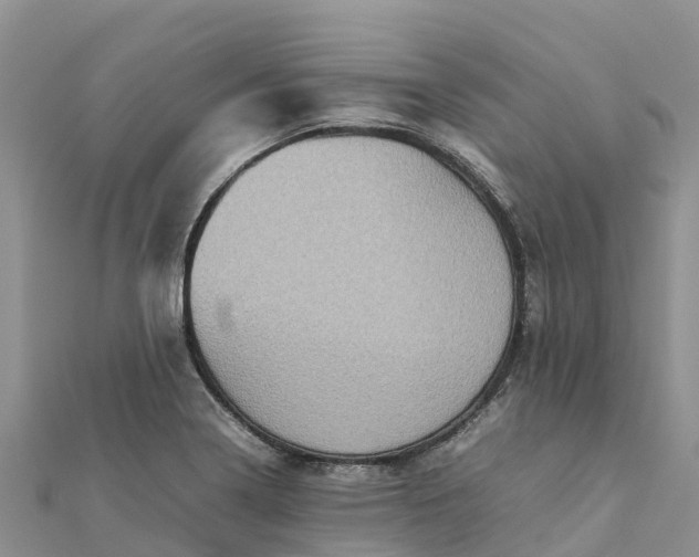 X0000112091322200908181255