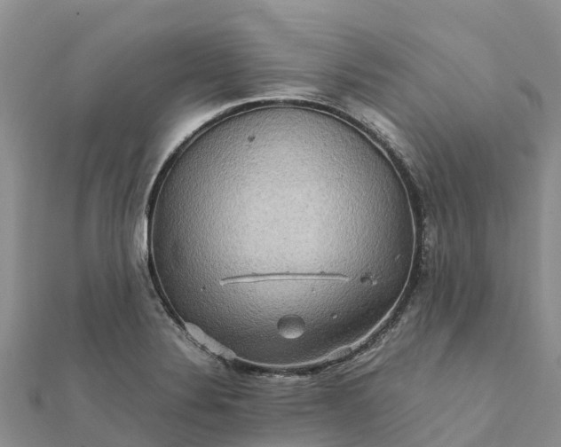 X0000112091324200908181255