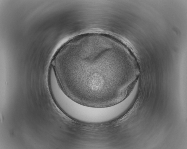 X0000112091326200908181255