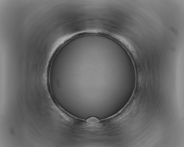 X0000112091327200908181255