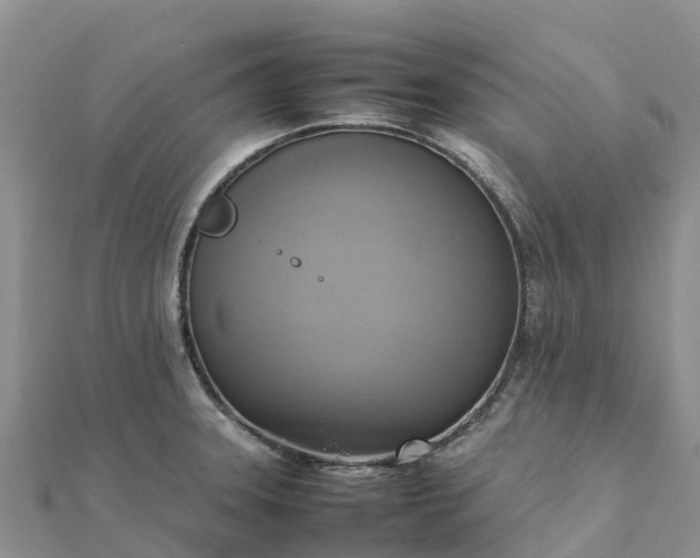 X0000112091331200908181255