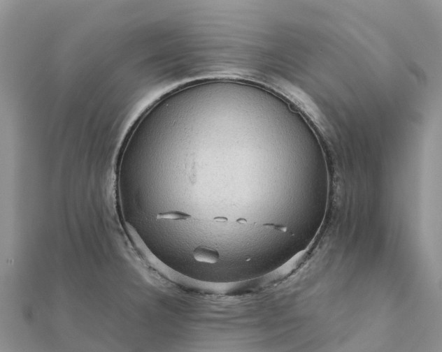 X0000112091332200908181255