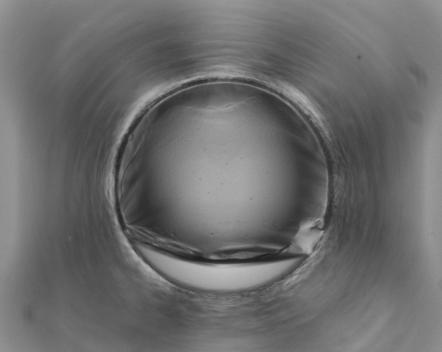 X0000112091334200908181255