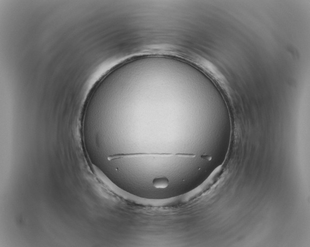 X0000112091336200908181256