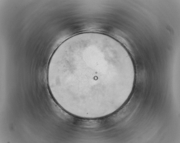 X0000112091338200908181256