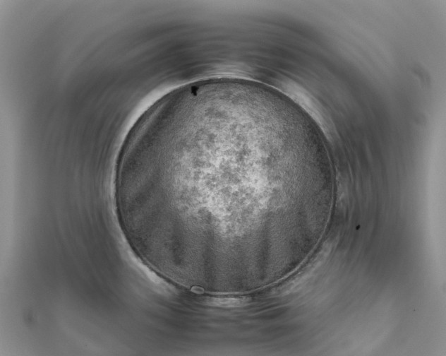 X0000112091339200908181256