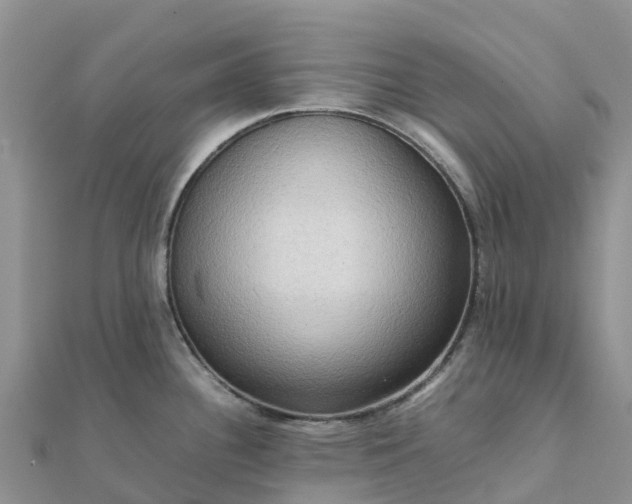 X0000112091340200908181256