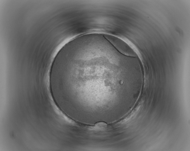 X0000112091341200908181256