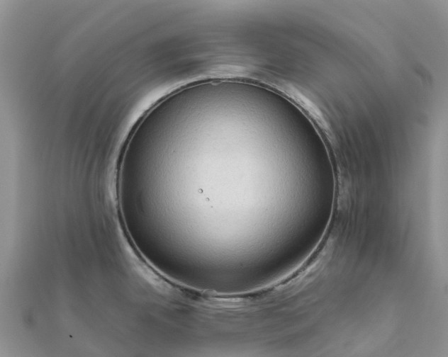 X0000112091342200908181256