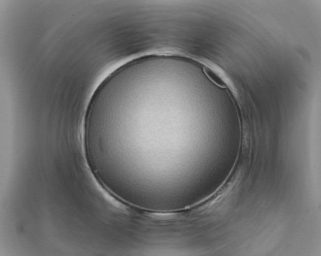 X0000112091343200908181256