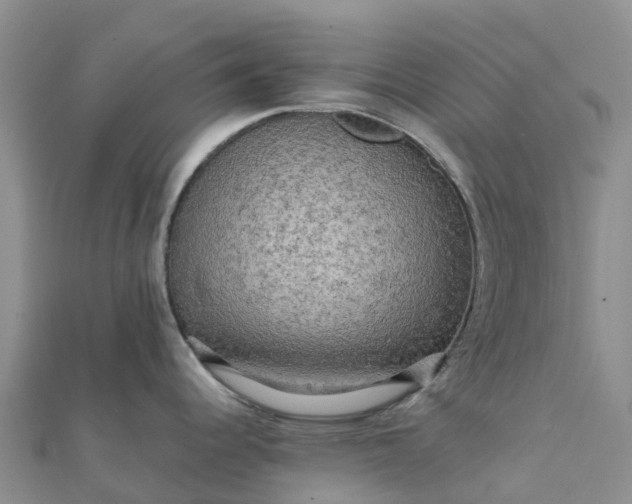 X0000112091344200908181256