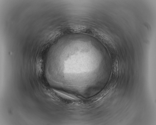 X0000112091346200908181255