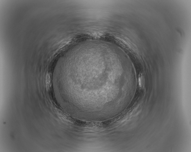 X0000112091347200908181255