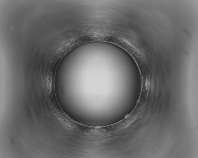 X0000112091348200908181255