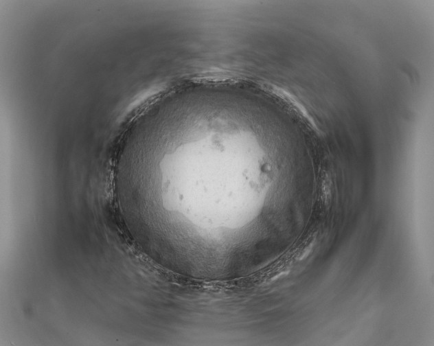 X0000112091350200908181255